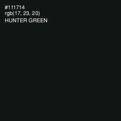 #111714 - Hunter Green Color Image